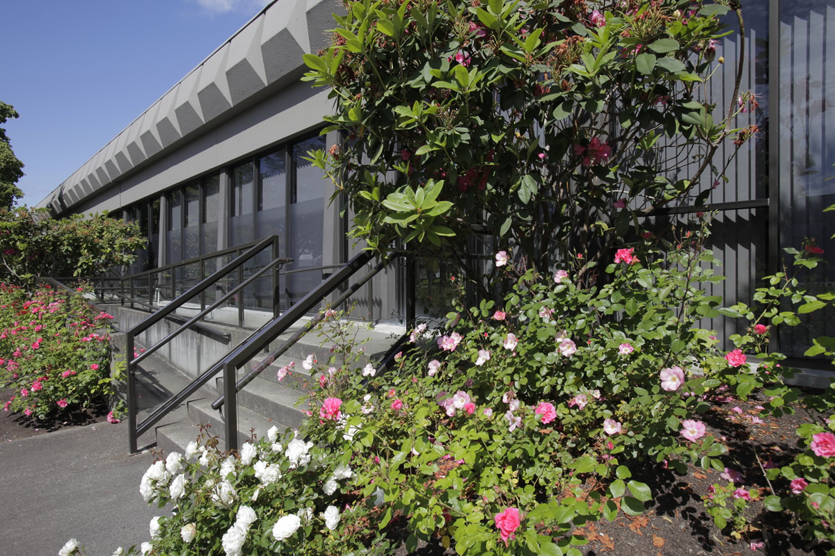 Exterior view of one of the park's buildings with lush greenery
